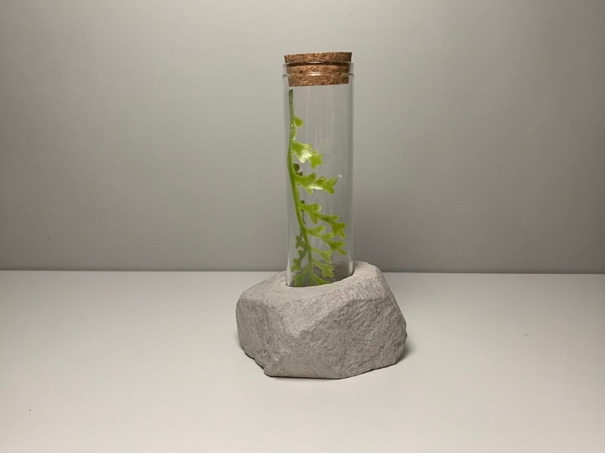 Concrete and glass vessel, two materials, one tool